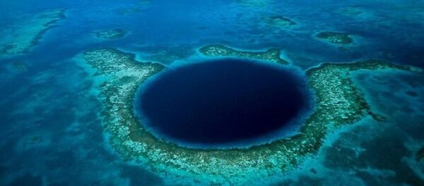 俄公司介紹拍攝馬里亞納海溝底部的相機性能 - 俄羅斯衛星通訊社