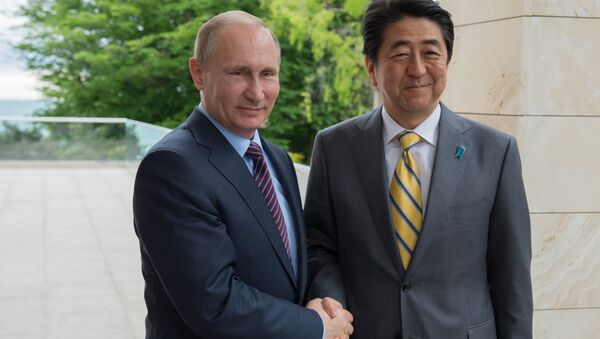 普京會見安倍 稱日本是俄羅斯的重要合作夥伴 - 俄羅斯衛星通訊社