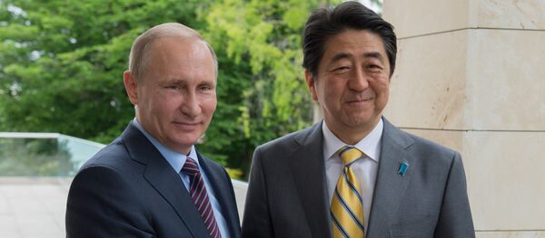 普京會見安倍 稱日本是俄羅斯的重要合作夥伴 - 俄羅斯衛星通訊社