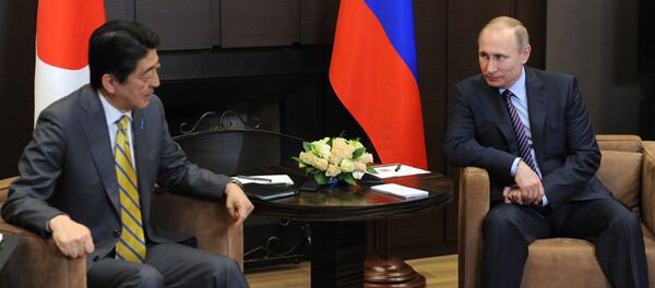 日本首相：希望与俄总统讨论和平条约及经济与国际问题 - 俄罗斯卫星通讯社