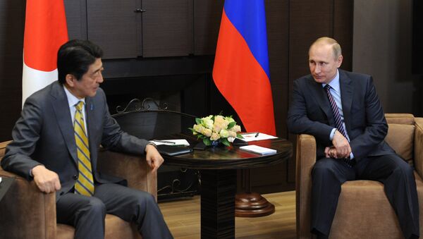 日本首相：希望與俄總統討論和平條約及經濟與國際問題 - 俄羅斯衛星通訊社