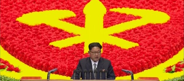 朝鲜宣布在去年核试验后已结束核武器研制 - 俄罗斯卫星通讯社