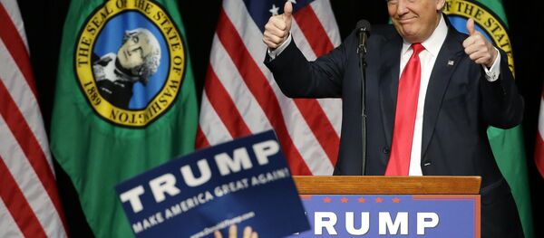 特朗普望降低商业税并提高最低工资 - 俄罗斯卫星通讯社