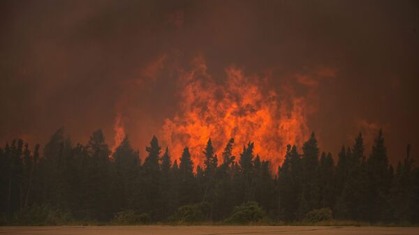 加拿大各地山火過火面積已突破1600萬公頃，近兩周以來增加100萬公頃 - 俄羅斯衛星通訊社