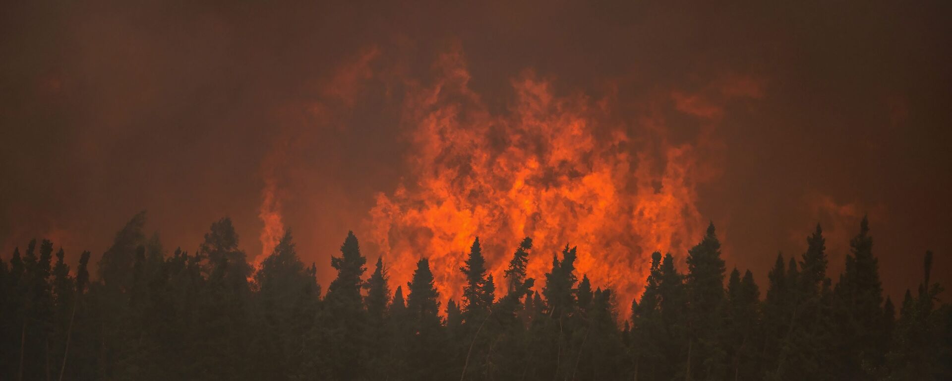 加拿大阿尔伯塔省火灾损失或达70亿美元 - 俄罗斯卫星通讯社, 1920, 17.07.2017