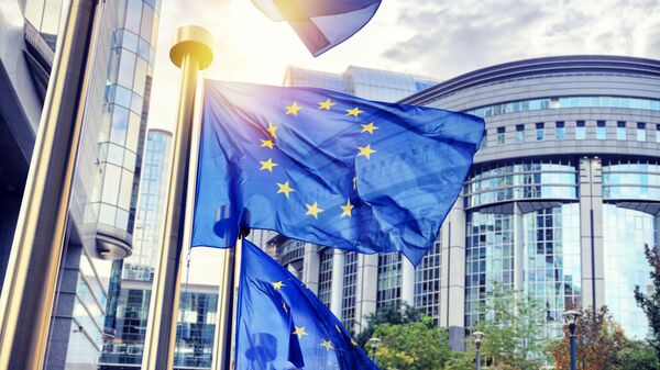 欧盟委员会提议禁止五个国家从乌克兰进口粮食 - 俄罗斯卫星通讯社