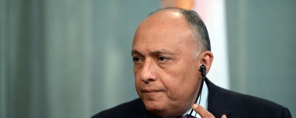 埃及外長今日將在以色列會晤內塔尼亞胡 - 俄羅斯衛星通訊社