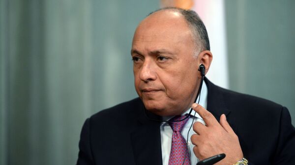 埃及外交部長薩邁赫•舒凱里 - 俄羅斯衛星通訊社