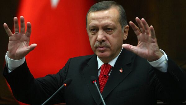 土总统：土耳其接收难民的开销达到200亿美元 - 俄罗斯卫星通讯社