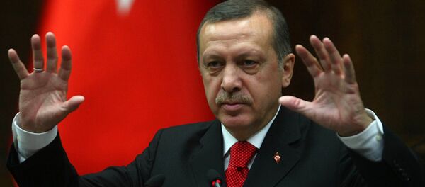 土总统:土德两国外长将讨论有关允许德国议员前往因吉尔利克基地问题 土总统:土德两国外长将讨论有关允许德国议员前往因吉尔利克基地问题 - 俄罗斯卫星通讯社