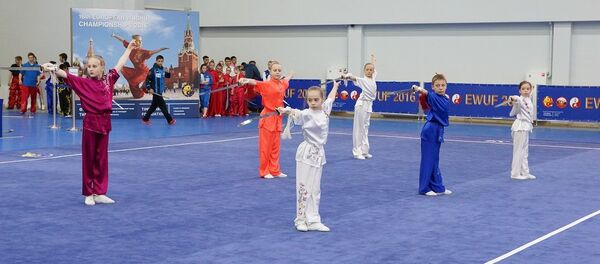 武术比赛 武术比赛 - 俄罗斯卫星通讯社