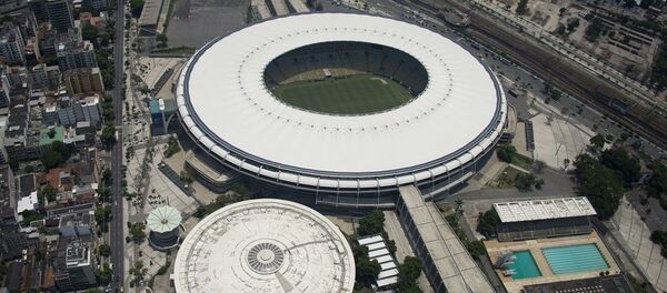 媒體：普京或出席巴西奧運會開幕式 - 俄羅斯衛星通訊社