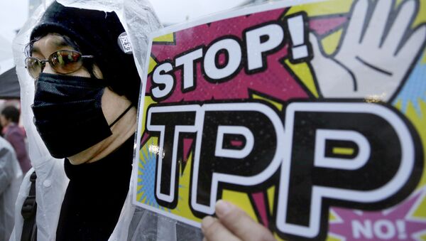 Участник протеста держит плакат во время митинга против Транс-Тихоокеанского партнерства (ТТП) в Токио - 俄罗斯卫星通讯社