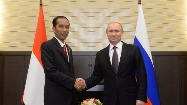普京與印尼總統就G20巴釐島峰會有關議題進行討論 - 俄羅斯衛星通訊社