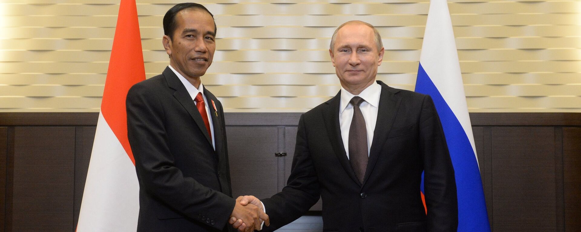 普京与印尼总统就G20巴厘岛峰会有关议题进行讨论 - 俄罗斯卫星通讯社, 1920, 02.11.2022