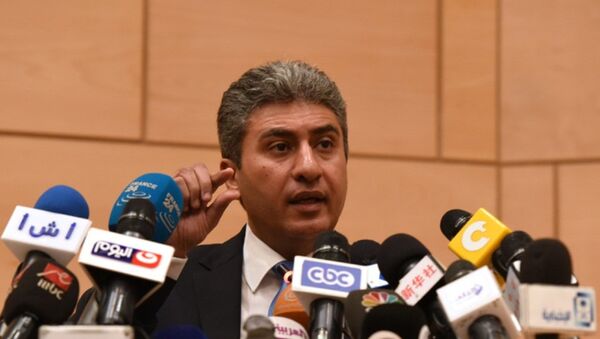 埃及民航部长中断对沙特访问 回国处理失联客机事宜 - 俄罗斯卫星通讯社