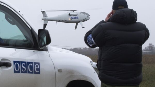 歐安組織：特別觀察團無人機遭到烏政府控制區方向的炮擊 - 俄羅斯衛星通訊社