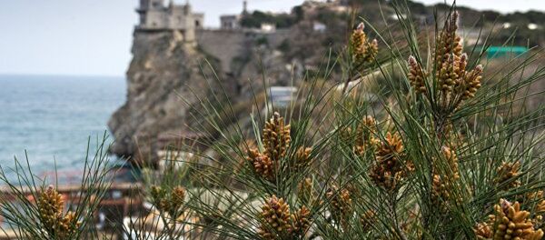 2016年中国成为克里米亚的主要贸易伙伴 - 俄罗斯卫星通讯社