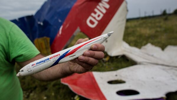 民兵：马航MH17坠毁真相将在政治环境改变后查明 - 俄罗斯卫星通讯社