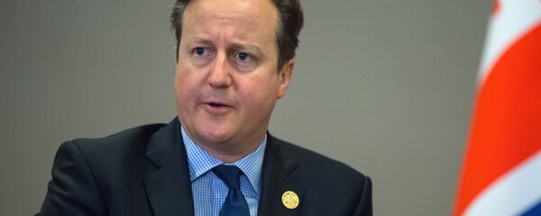 卡梅伦：土耳其在3000年前不会成为欧盟成员 - 俄罗斯卫星通讯社
