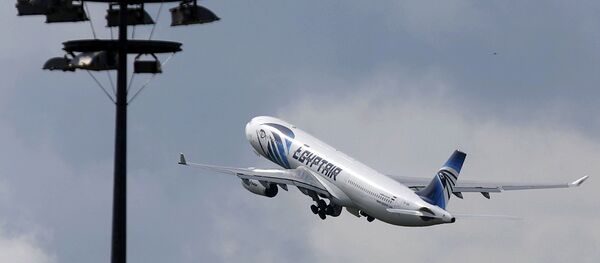 Самолет египетских авиалиний - 俄罗斯卫星通讯社