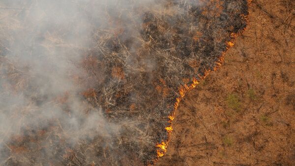 阿穆尔州森林火灾 - 俄罗斯卫星通讯社