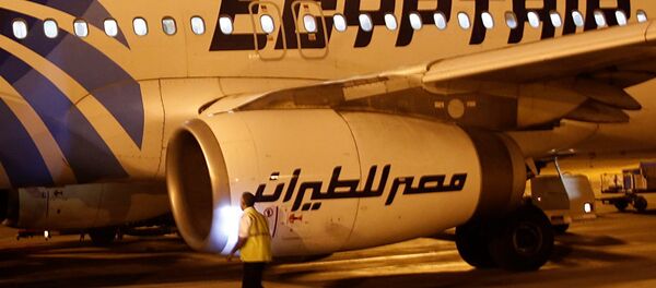 埃航客机 埃航客机 - 俄罗斯卫星通讯社