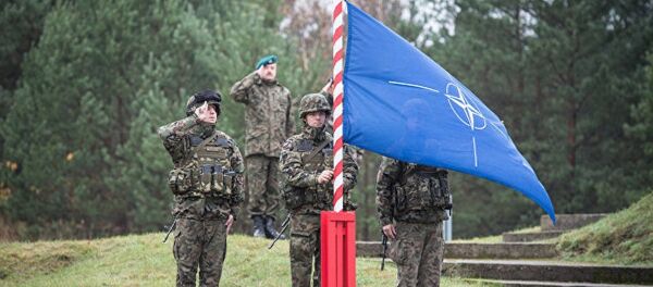英國國防部：北約能在數小時內將部隊部署到東歐 - 俄羅斯衛星通訊社