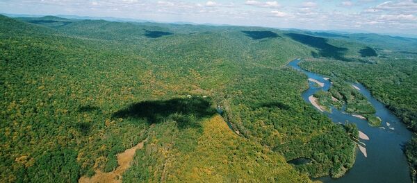 中国公司正研究参与滨海边疆区新热电站建设项目的可能性 - 俄罗斯卫星通讯社