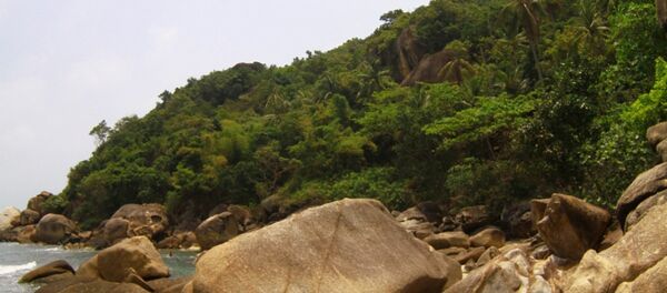 媒体：泰国采蜜者在森林里发现价值700万美元的毒品与朋友分享 - 俄罗斯卫星通讯社