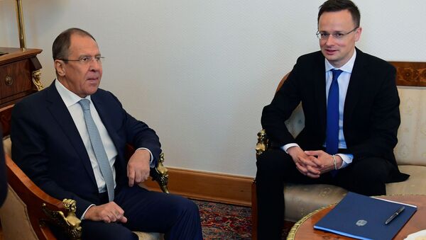 匈牙利外长：匈反对自动延长对俄制裁 - 俄罗斯卫星通讯社