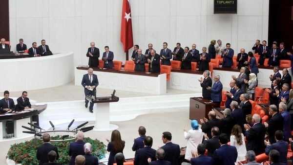 土耳其议会通过对耶尔德勒姆政府信任案 - 俄罗斯卫星通讯社