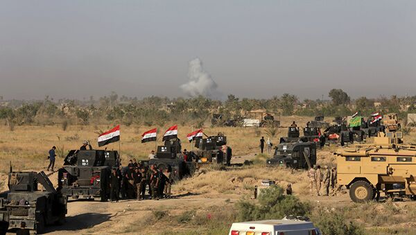 電視台：伊拉克政府軍徹底解放摩蘇爾附近的古城尼姆魯德 - 俄羅斯衛星通訊社