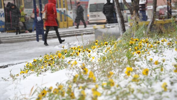 俄罗斯多地入夏首日飘雪 - 俄罗斯卫星通讯社