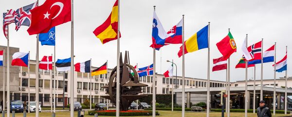 观点：土耳其局势不影响其北约成员资格但在未来将制造麻烦 - 俄罗斯卫星通讯社