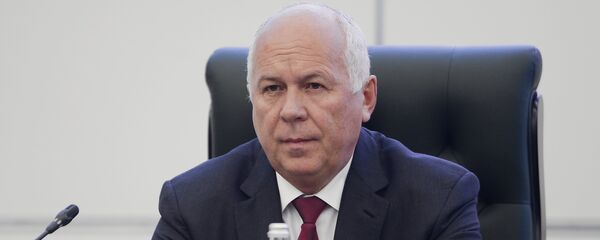 谢尔盖·切梅佐夫 - 俄罗斯卫星通讯社