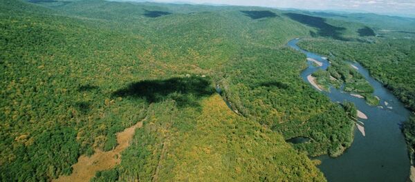 日本对俄远东的直接投资额已达到10亿美元 - 俄罗斯卫星通讯社