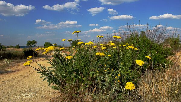 中國氣象局：2015至2016年超強厄爾尼諾事件正式結束 - 俄羅斯衛星通訊社