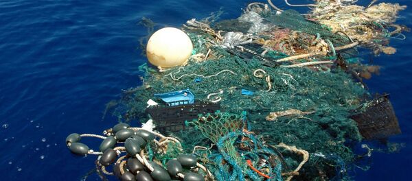 歐盟委員會：到2050年海洋中的塑料將比魚多 - 俄羅斯衛星通訊社