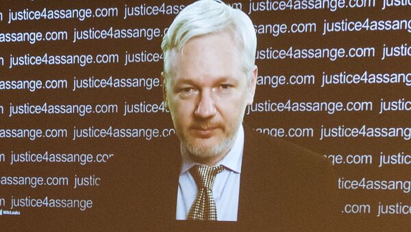 Сооснователь WikiLeaks Джулиан Ассанж участвует в пресс-конференции по видеосвязи из посольства Эквадора в Лондоне - 俄罗斯卫星通讯社