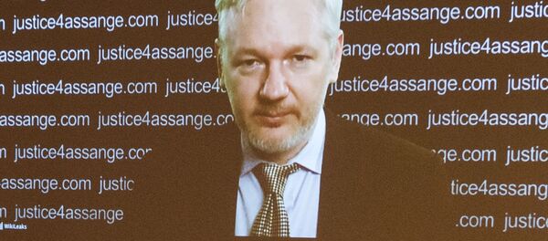 阿桑奇没有俄罗斯与美民主党数据库被黑客袭击有关的数据 阿桑奇没有俄罗斯与美民主党数据库被黑客袭击有关的数据 - 俄罗斯卫星通讯社