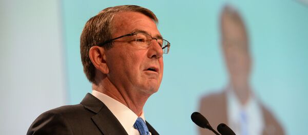 美防长称正与土就参与解放拉卡行动问题谈判 - 俄罗斯卫星通讯社