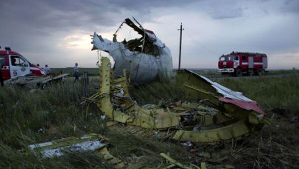 荷蘭調查人員無法解密俄羅斯提供的MH17航班數據 - 俄羅斯衛星通訊社