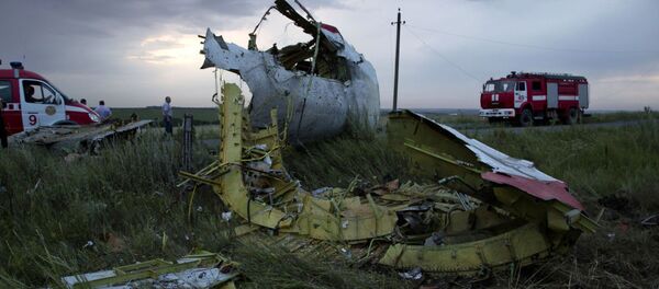 荷兰调查人员无法解密俄罗斯提供的MH17航班数据 荷兰调查人员无法解密俄罗斯提供的MH17航班数据 - 俄罗斯卫星通讯社