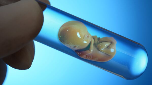 荷兰将允许为做研究而培育人类胚胎 - 俄罗斯卫星通讯社