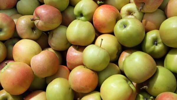 營養學家稱蘋果醋有助於醋減肥 - 俄羅斯衛星通訊社