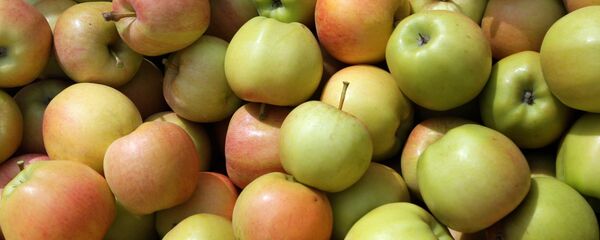 营养学家称苹果醋有助于醋减肥 - 俄罗斯卫星通讯社