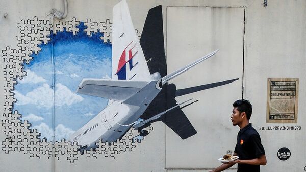 澳大利亞專家在研究三塊疑似馬航MH370的新殘骸照片 - 俄羅斯衛星通訊社
