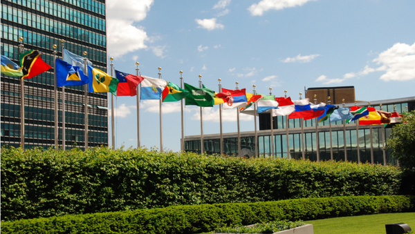 聯合國官員：聯合國反恐辦公室不下設強力機構 - 俄羅斯衛星通訊社