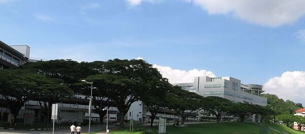 新加坡国立大学 新加坡国立大学 - 俄罗斯卫星通讯社